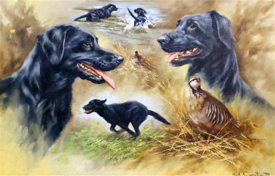 § Mick Cawston (1959-) Black Labradors 19 x 29in.